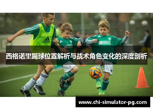 西格诺里踢球位置解析与战术角色变化的深度剖析
