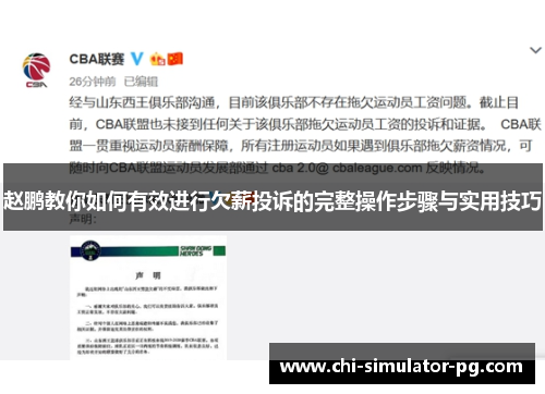 赵鹏教你如何有效进行欠薪投诉的完整操作步骤与实用技巧