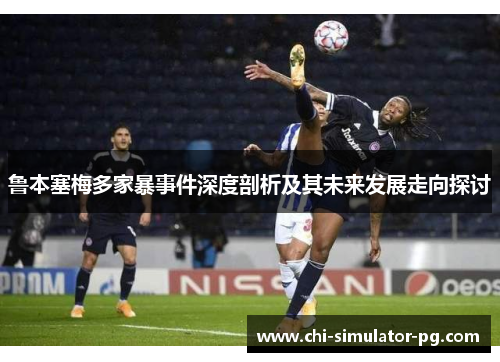 鲁本塞梅多家暴事件深度剖析及其未来发展走向探讨