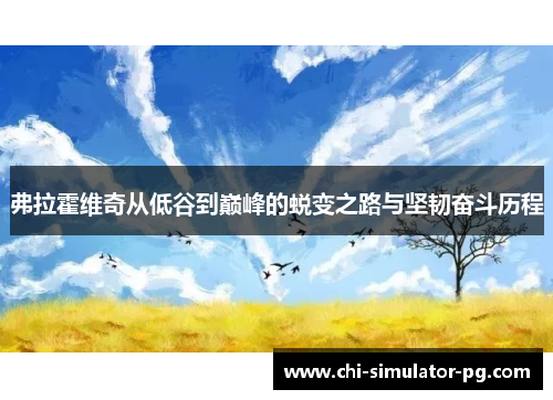 弗拉霍维奇从低谷到巅峰的蜕变之路与坚韧奋斗历程