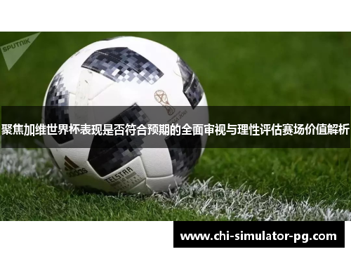 聚焦加维世界杯表现是否符合预期的全面审视与理性评估赛场价值解析